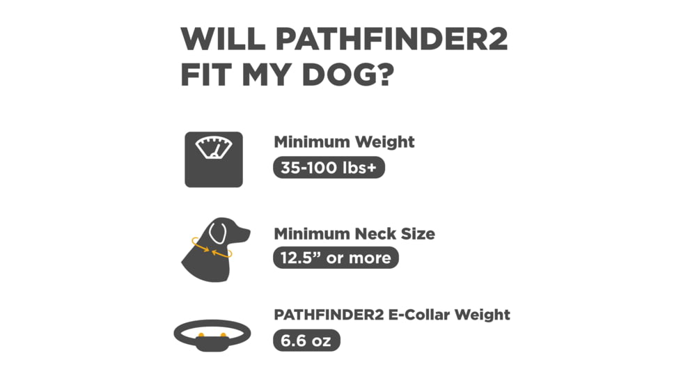 Dogtra Pathfinder2 Wireless Collar