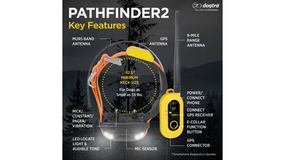 Dogtra Pathfinder2 Wireless Collar