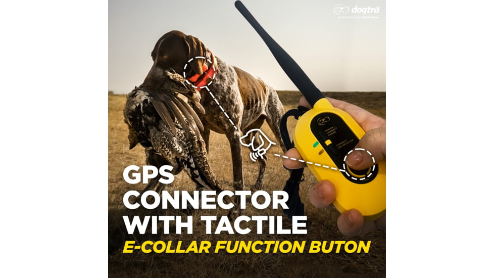 Dogtra Pathfinder2 Wireless Collar