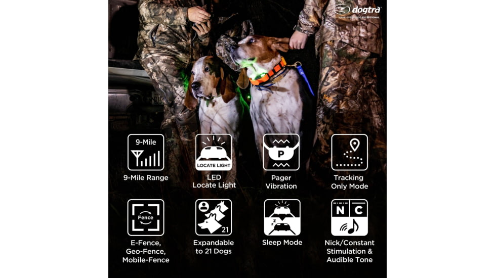 Dogtra Pathfinder2 Wireless Collar