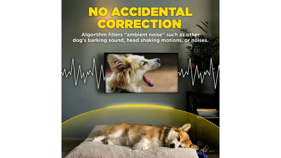 Dogtra Smart Nobark Collar