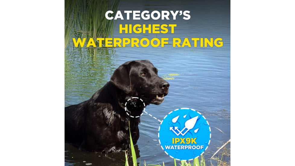 Dogtra Smart Nobark Collar