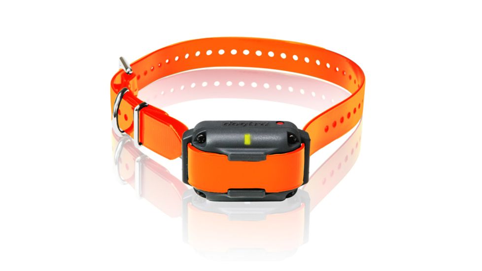 Dogtra Edge Rt Add. Rx, Orange, EDGE RT ADD. RX ORANGE