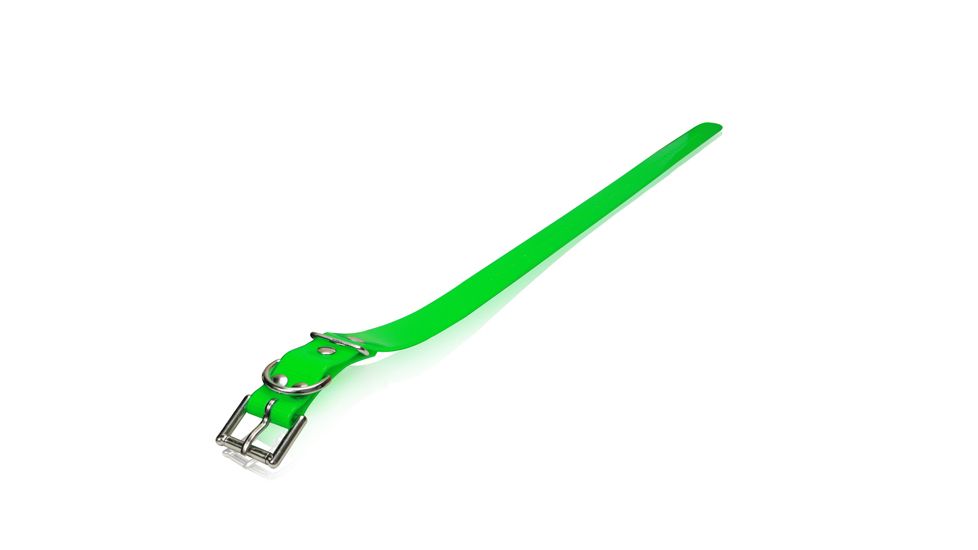 Dogtra EDGE RT Additional Training Collar, Green, EDGE RT ADD. RX GREEN