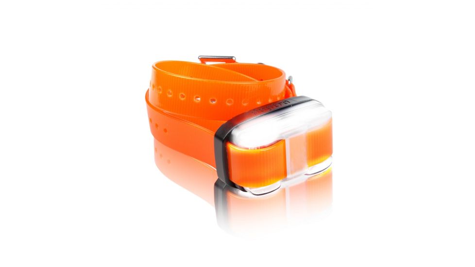 Dogtra EDGE RX Additional Training Collar, Orange EDGE RX ORANGE