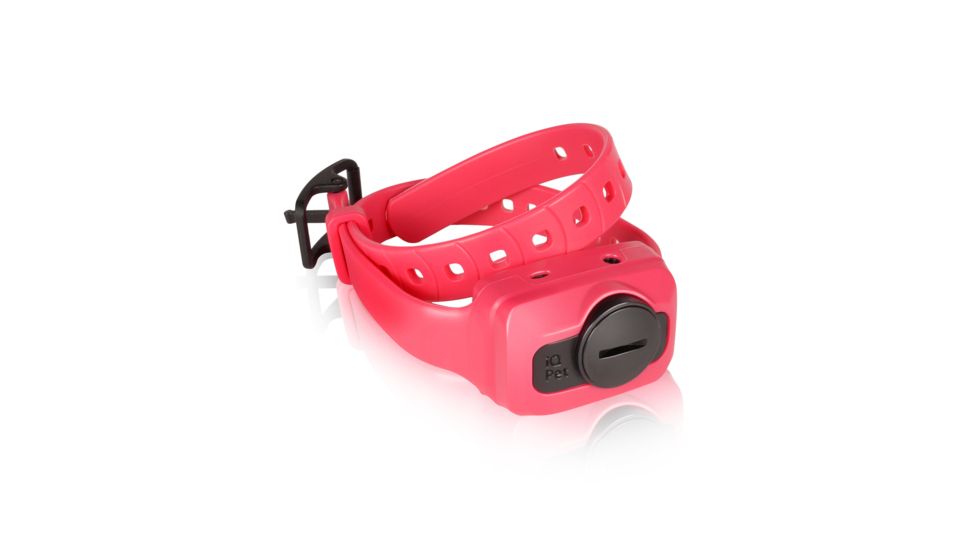 Dogtra iQ CLiQ RX Additional Training Collar, Pink iQ CLiQ ADDITIONAL RX PINK