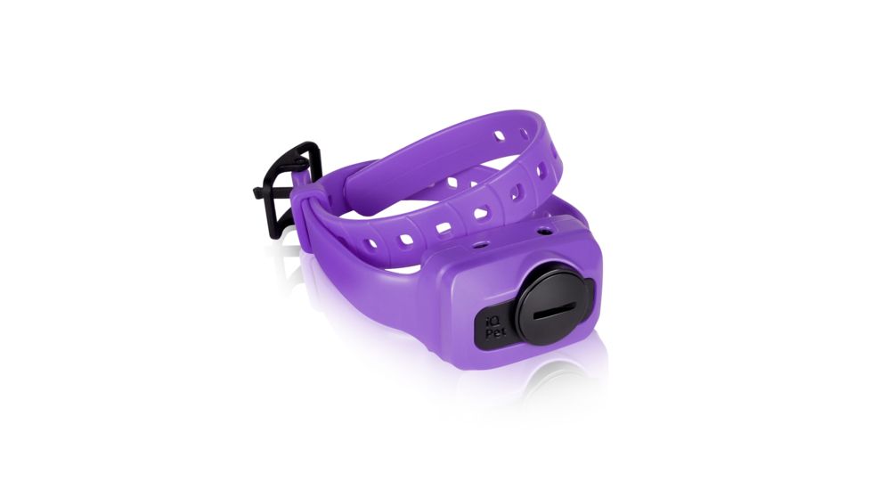 Dogtra iQ CLiQ RX Additional Training Collar, Purple iQ CLiQ ADDITIONAL RX PURPLE