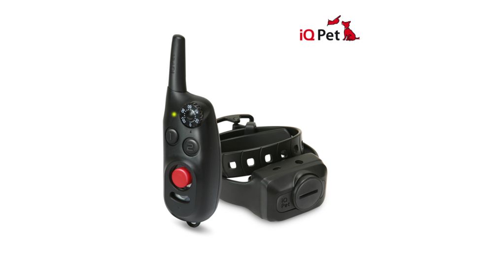 Dogtra iQ-CLiQ Training Collar, Black iQ-CLiQ BLACK