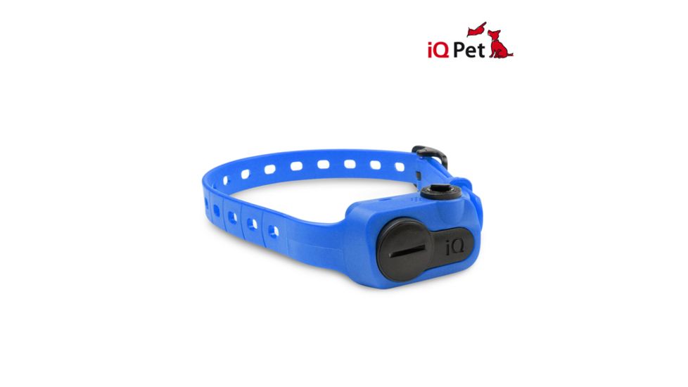 Dogtra iQ NO BARK Training Collar, Blue iQ NO BARK BLUE