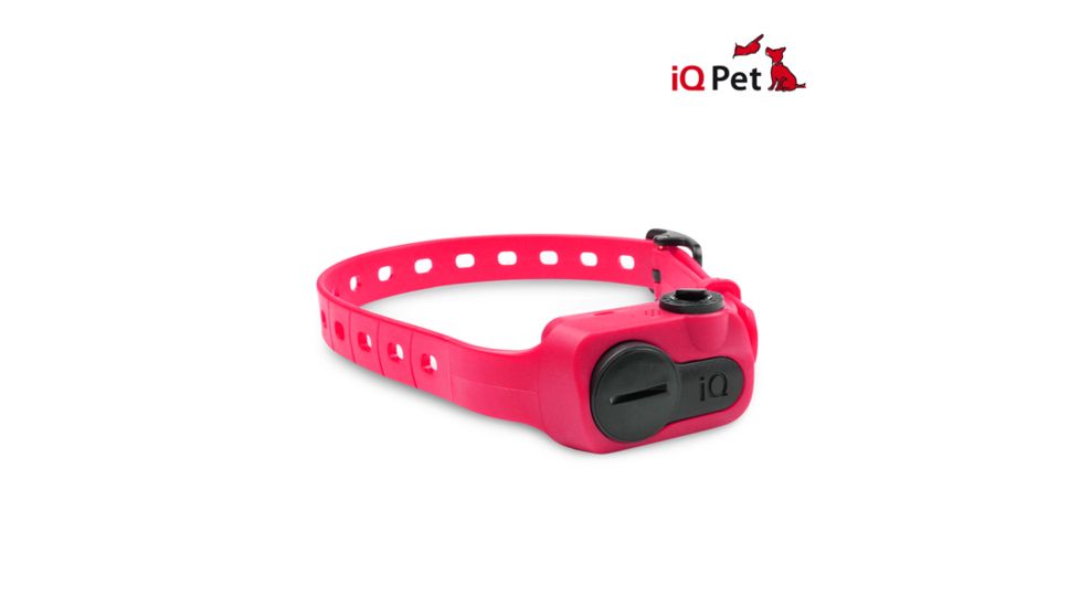 Dogtra iQ NO BARK Training Collar, Pink iQ NO BARK PINK