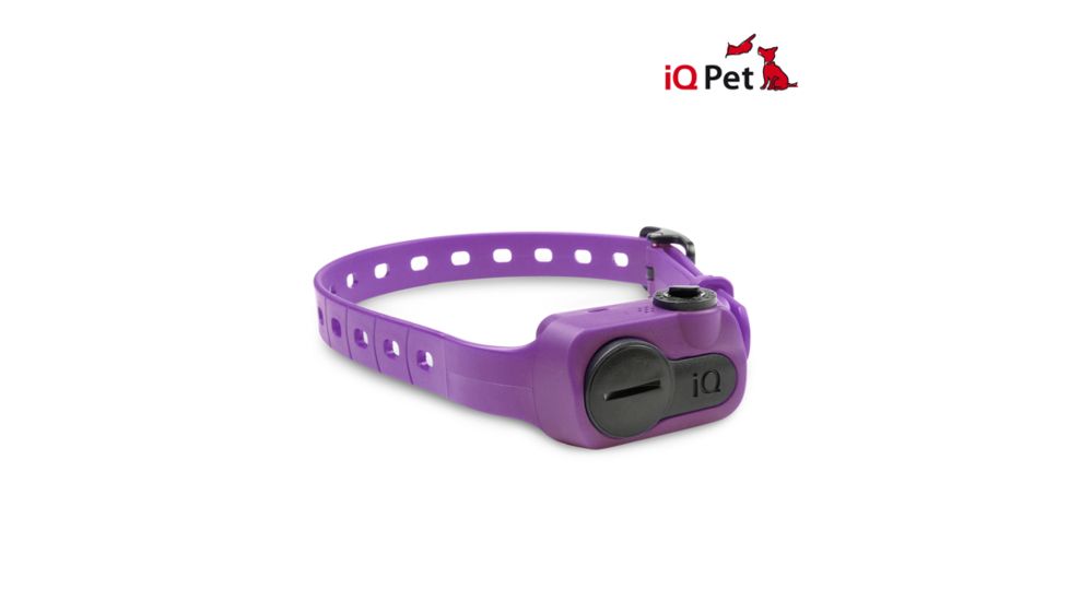 Dogtra iQ NO BARK Training Collar, Purple iQ NO BARK PURPLE