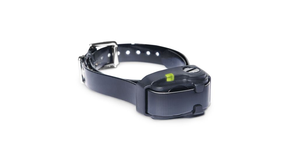 Dogtra YS200 Training Collar, BLISTER, Black YS200 (BLISTER)
