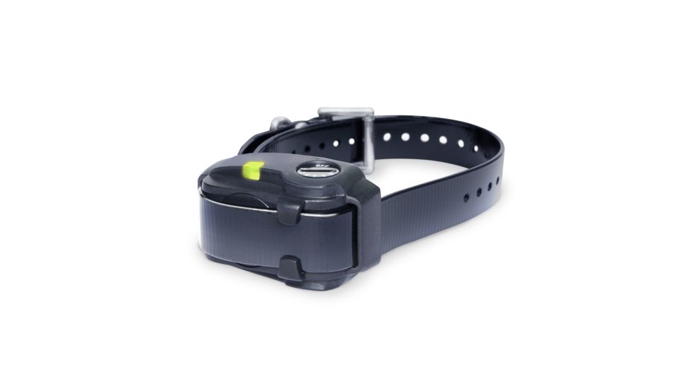 Dogtra YS200 Training Collar, BLISTER, Black YS200 (BLISTER)