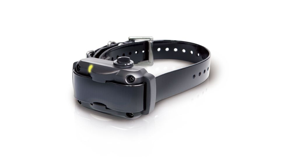 Dogtra YS600 Training Collar, BLISTER, Black YS600 (BLISTER)