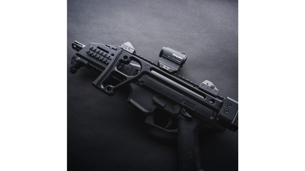 DoubleStar ACE Slim Stock, Black, A132