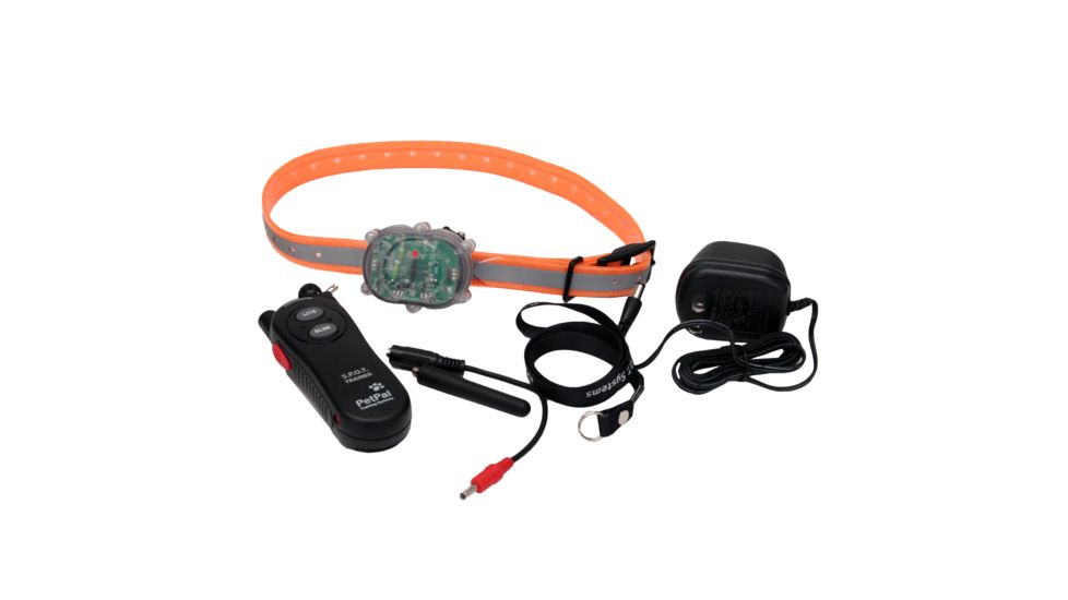 DT Systems S.P.O.T. Rechargeable 42 Lumen LED Lighted Obedience Trainer, Orange, S.P.O.T.