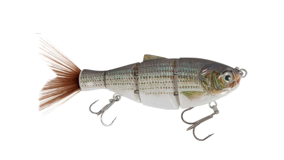 Duckett Fishing BD Shad, White Bass, 6 in, BDSHAD6-SS White Bass