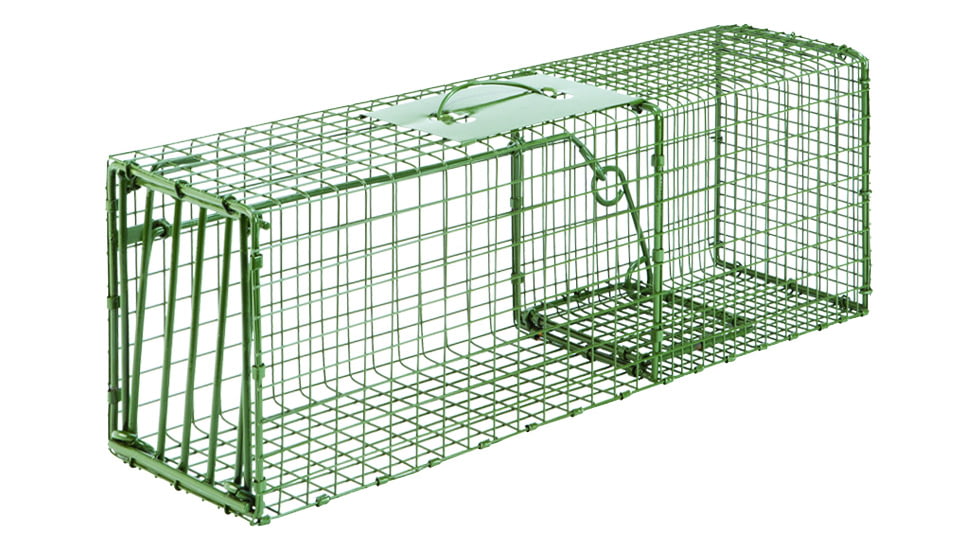 Duke Standard &amp; Heavy Duty Cage Traps