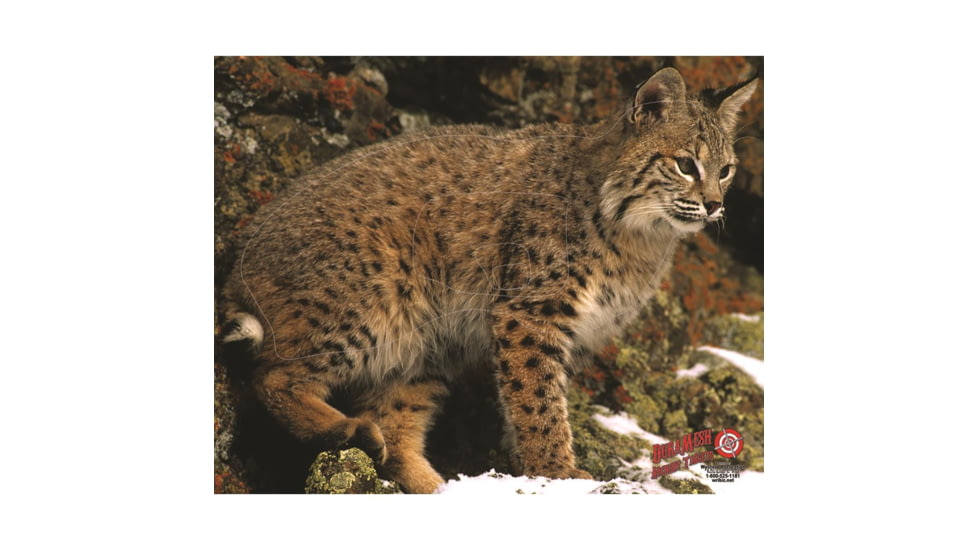 DuraMesh Archery Target Bobcat, 25 in. x 32 in., Brown 1001413