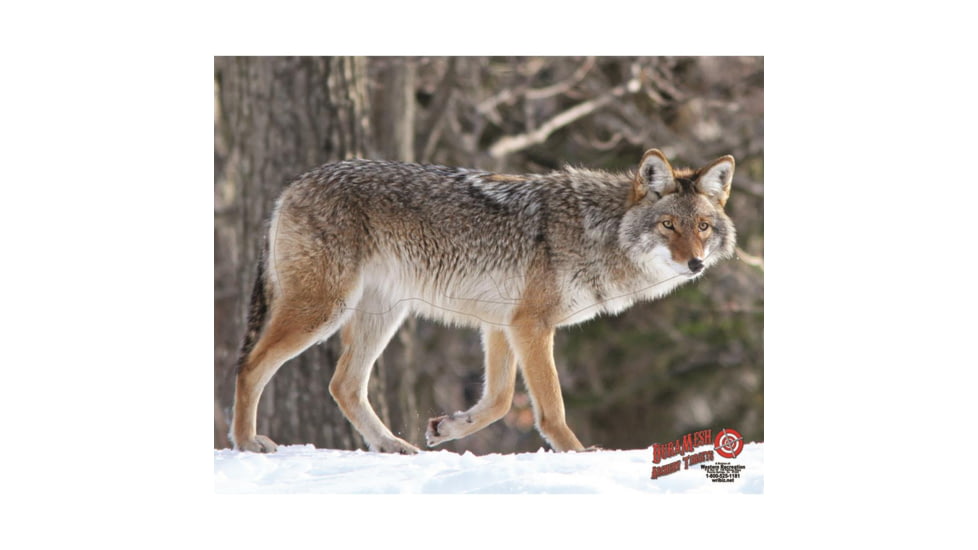 DuraMesh Archery Target Coyote, 25 in. x 32 in., Grey 1001415