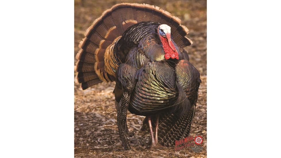 DuraMesh Archery Target, Turkey 3 32 in. x 25 in. DM218