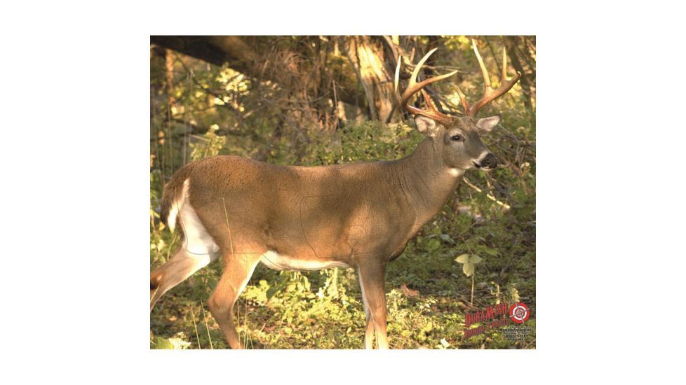 DuraMesh Archery Target, Whitetail 3 25 in. x 32 in. DM221