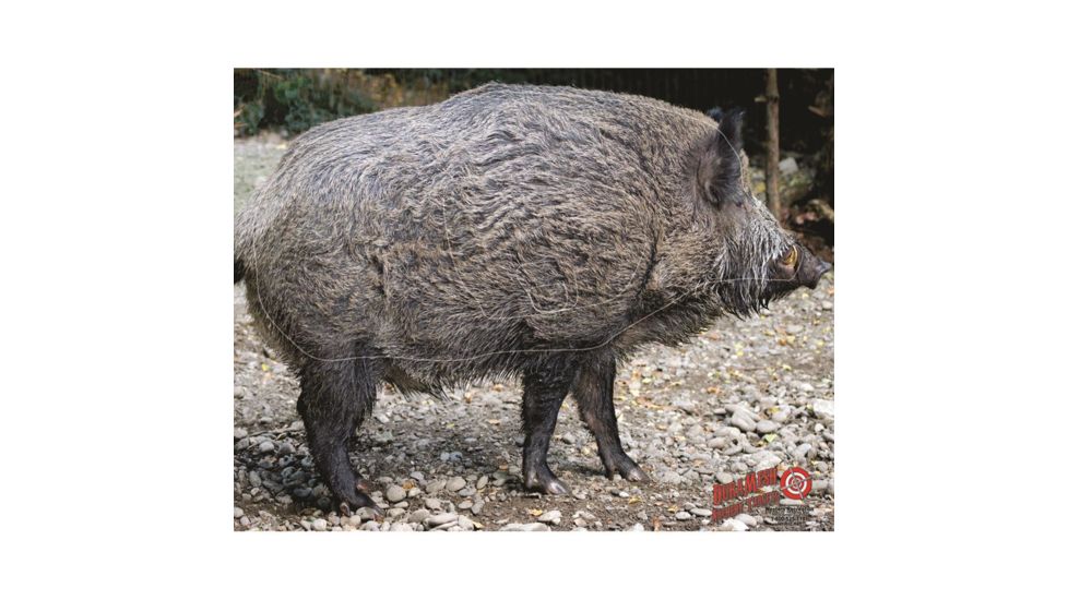 DuraMesh Archery Target, Wild Boar 25 in. x 32 in. DM200
