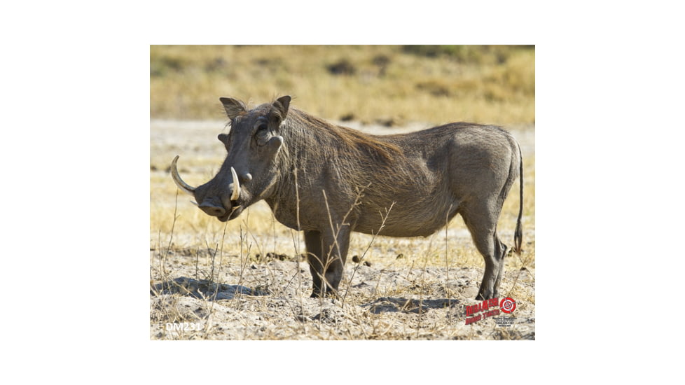 DuraMesh Archery Target Warthog 25 in. x 32 in.