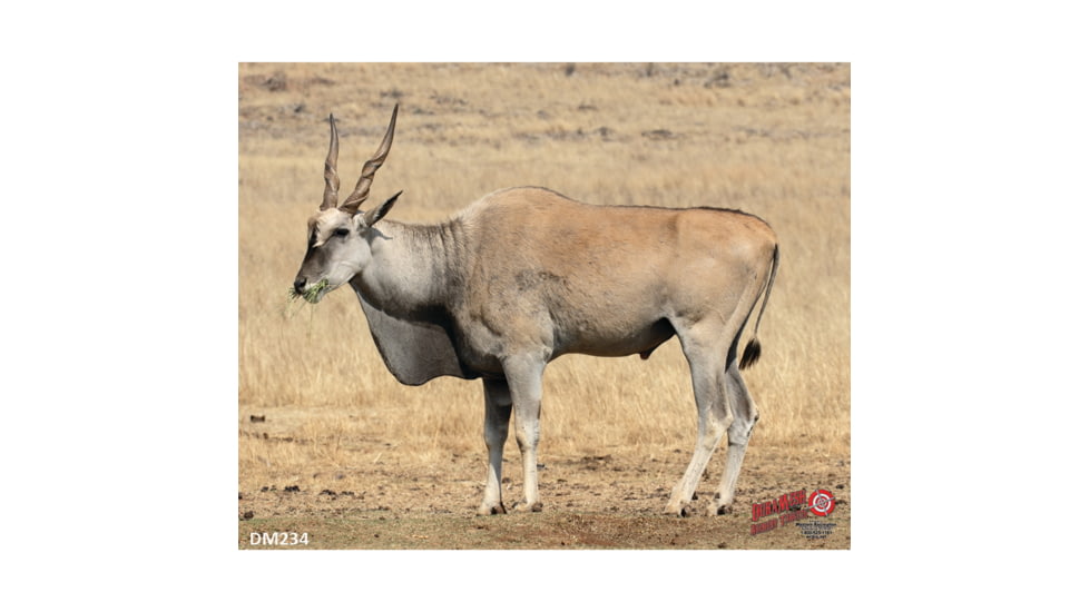 DuraMesh Archery Target Eland 25 in. x 32 in.