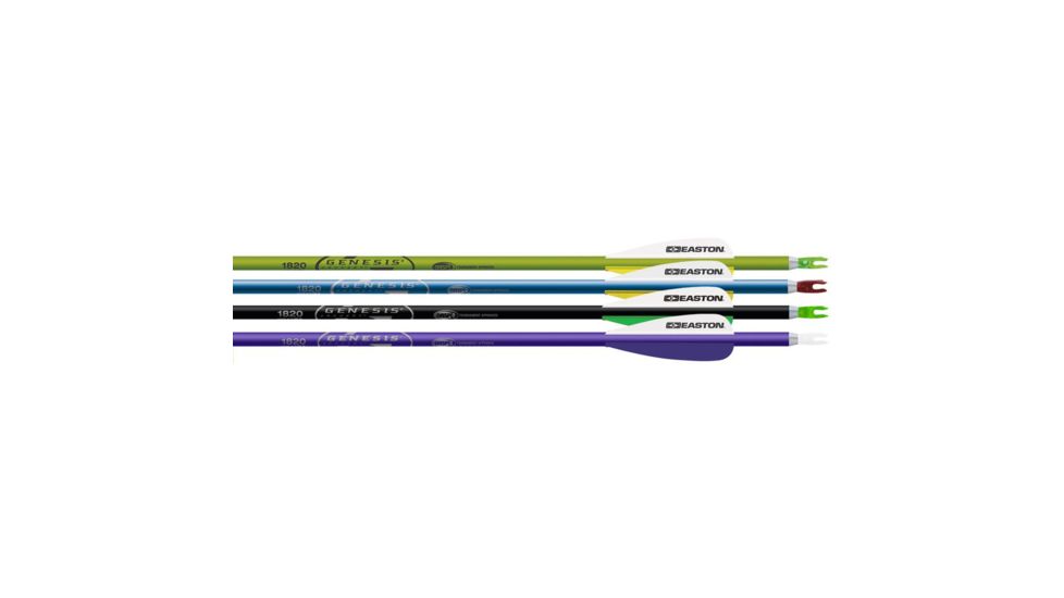 Easton Genesis V2 Arrows, 1820 72 pk., Assorted 63838