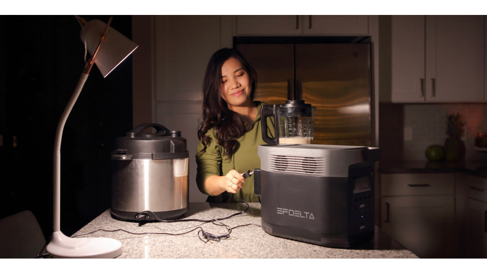 EcoFlow 1000 DELTA Portable Power Station, Black/Grey, EFDELTA1000-AM