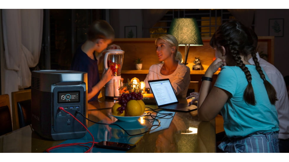 EcoFlow DELTA Portable Power Station, Gray &amp; Black, 50004055