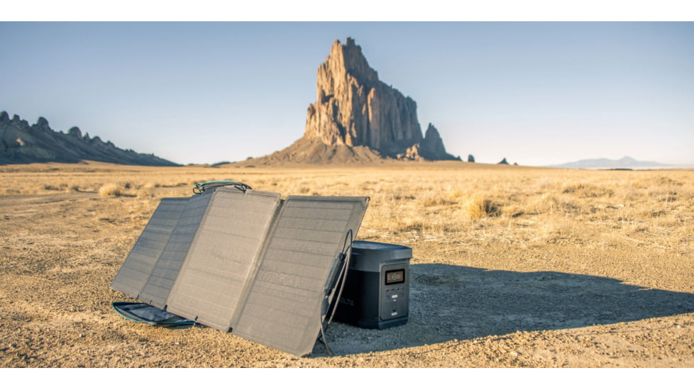 EcoFlow DELTA Portable Power Station, Gray &amp; Black, 50004055