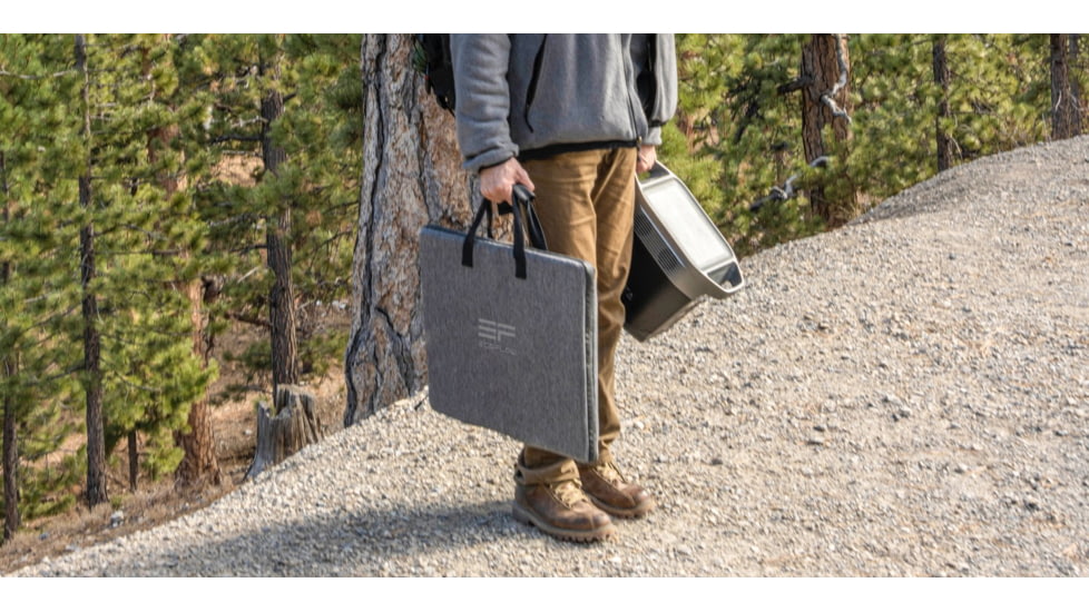 EcoFlow DELTA Portable Power Station, Gray &amp; Black, 50004055