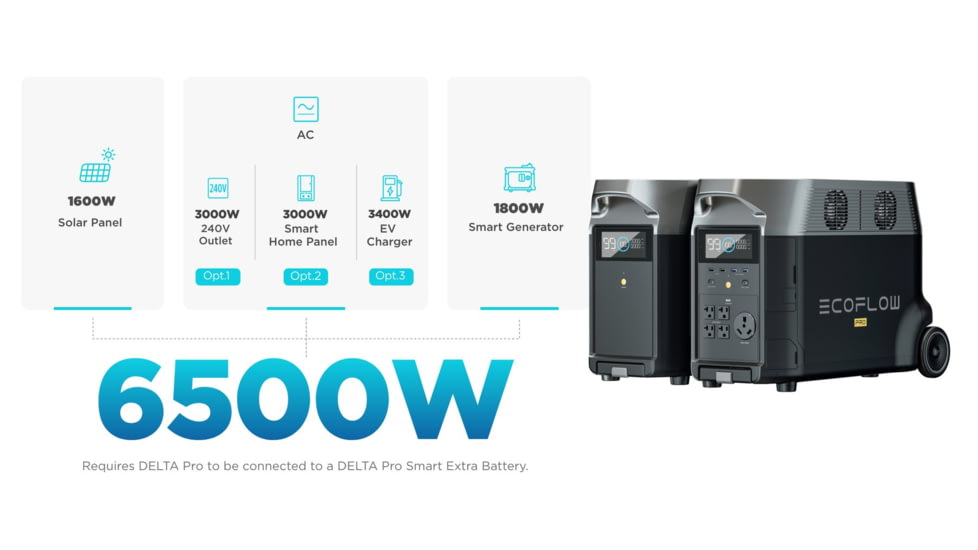 EcoFlow DELTA Pro Portable Power Station, Black, 50034001