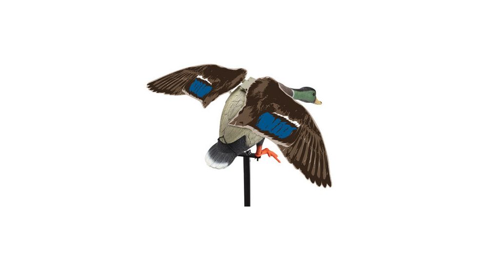 Edge Expedite Rapid Flyer Lucky Duck 65805