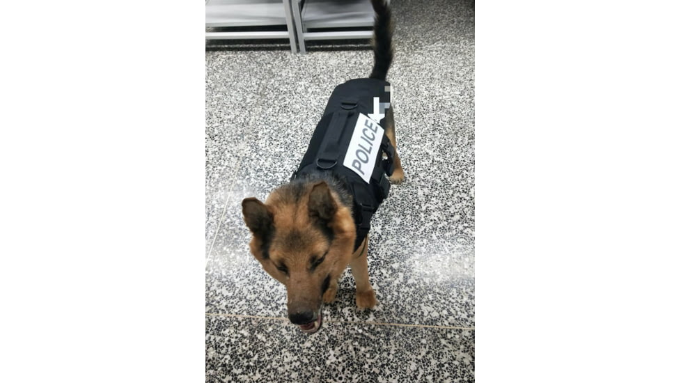 ExecDefense USA Dog Canine, K9 Bulletproof Vest, Black, Large Size, Larger Breeds, E-BEDV-L