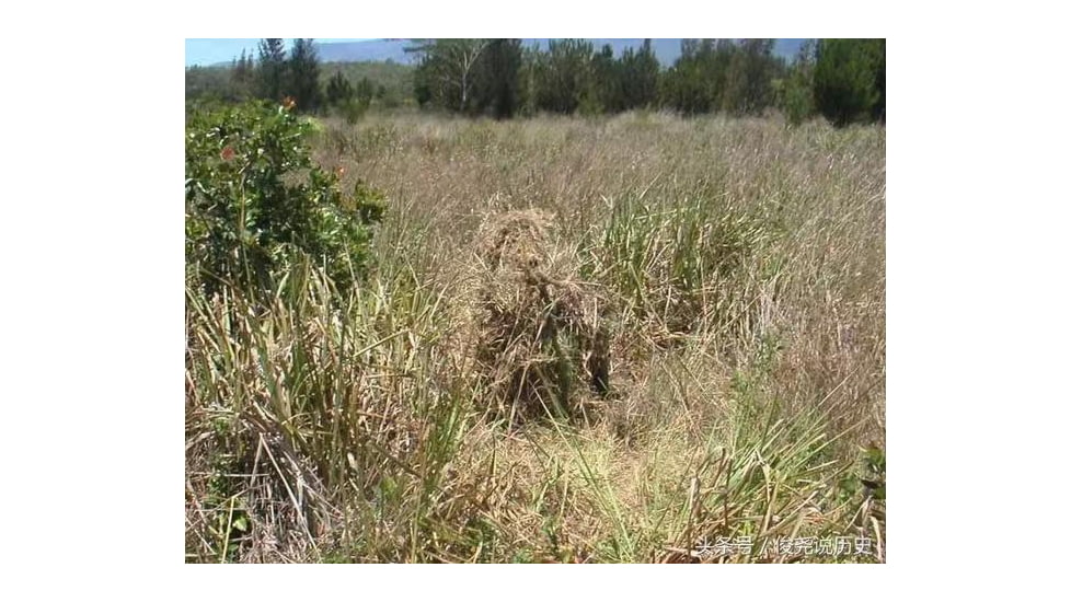 ExecDefense USA Sniper Suit, Ghille Suit, Multi-Color, Woodland, GS-01