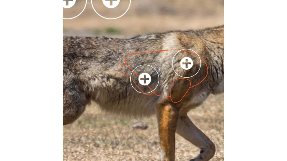 EZ-Aim Allen Paper Four Color Coyote Target, 25X35, 15284