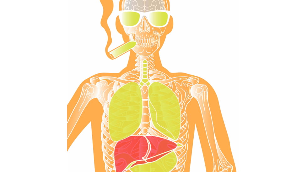 EZ-Aim Fun Makin Bones About It Silhouette Paper Shooting Target, 23inW x 35inH, 3-Pack, 15656
