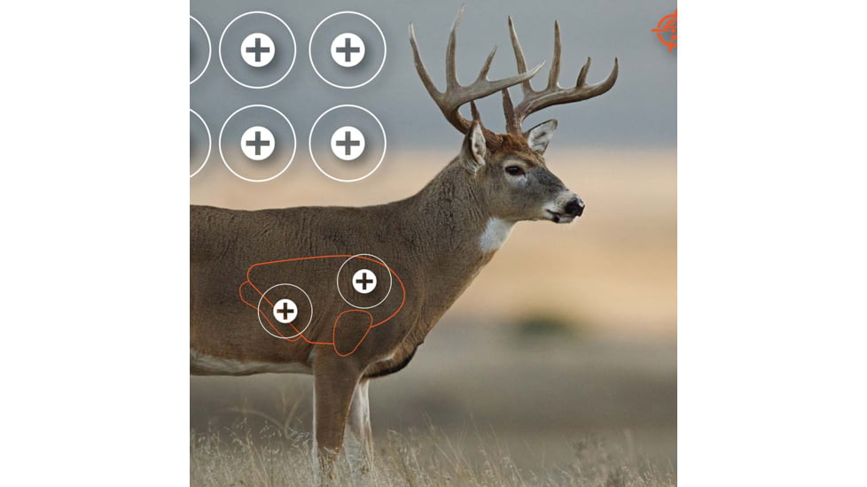 EZ-Aim Paper Four Color Whitetail Target, 25X35, 15286