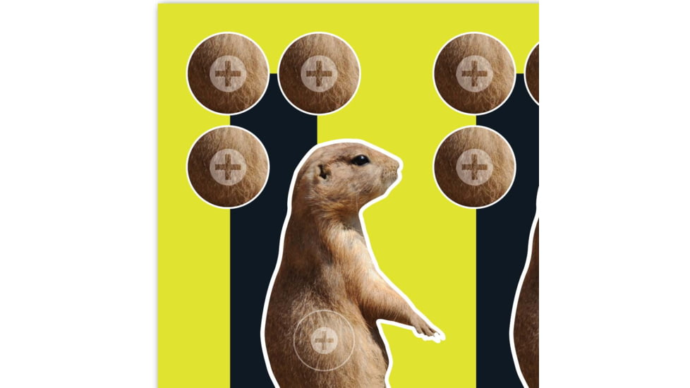EZ-Aim Splash Non-Adhesive Prairie Dog Target, Green, 8X8, 15264
