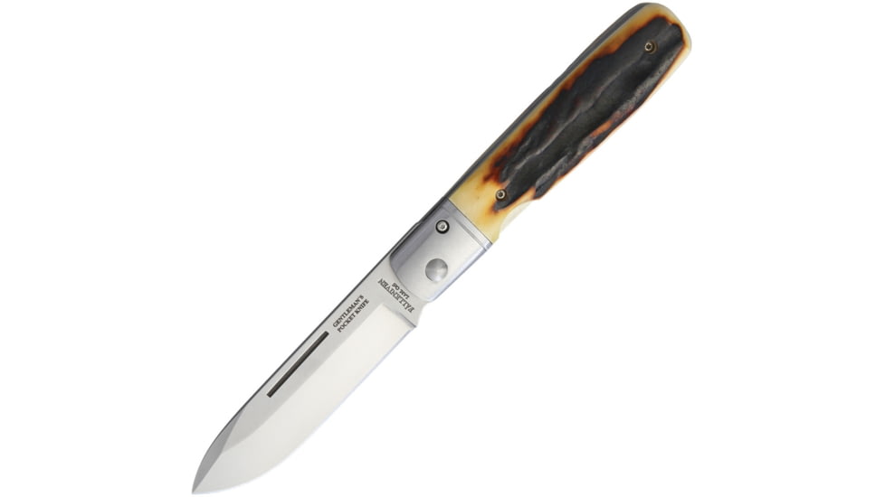 Fallkniven GP Stag Linerlock Folding Knife, 3in Satin Laminate Cobalt Steel Spear Point Blade, Stag Handle, SS Bolster, Comes With Wooden Glass Top Display Box, GPS