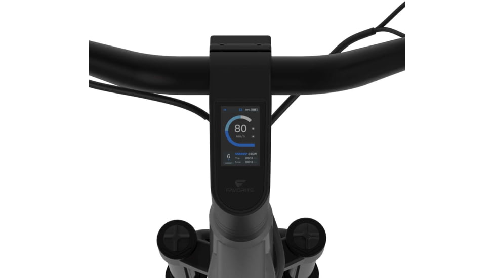 Favorite Hybrid XR Pro E-Bike, Grey, Large, 10-50005