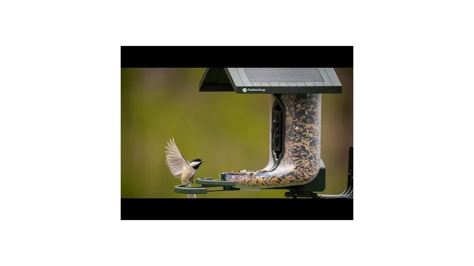 FeatherSnap Scout Version 1 Bird Feeder, Clear/Green, Small, FSBF001