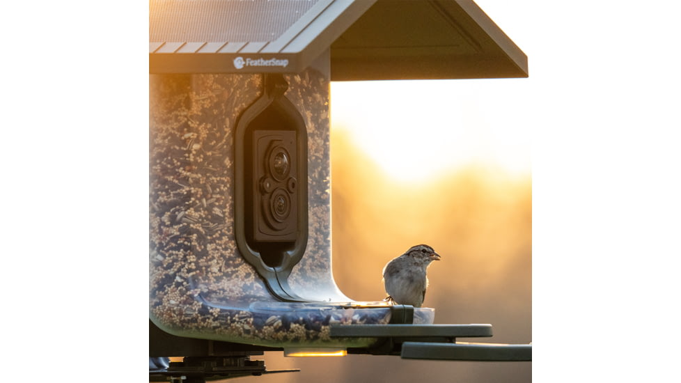 FeatherSnap Scout Version 1 Bird Feeder, Clear/Green, Small, FSBF001