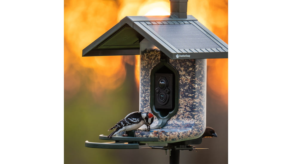 FeatherSnap Scout Version 1 Bird Feeder, Clear/Green, Small, FSBF001