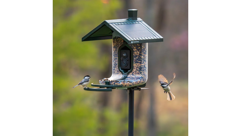 FeatherSnap Seed Feeder, Green, FSBF001