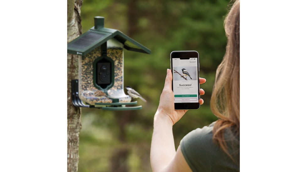 FeatherSnap Scout Version 1 Bird Feeder, Clear/Green, Small, FSBF001