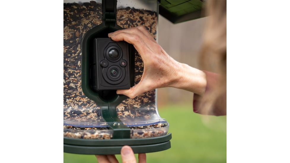 FeatherSnap Scout Version 1 Bird Feeder, Clear/Green, Small, FSBF001